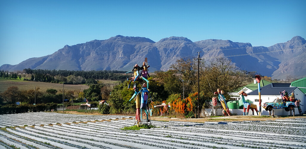 Stellenboschberg by ludwigsdiana