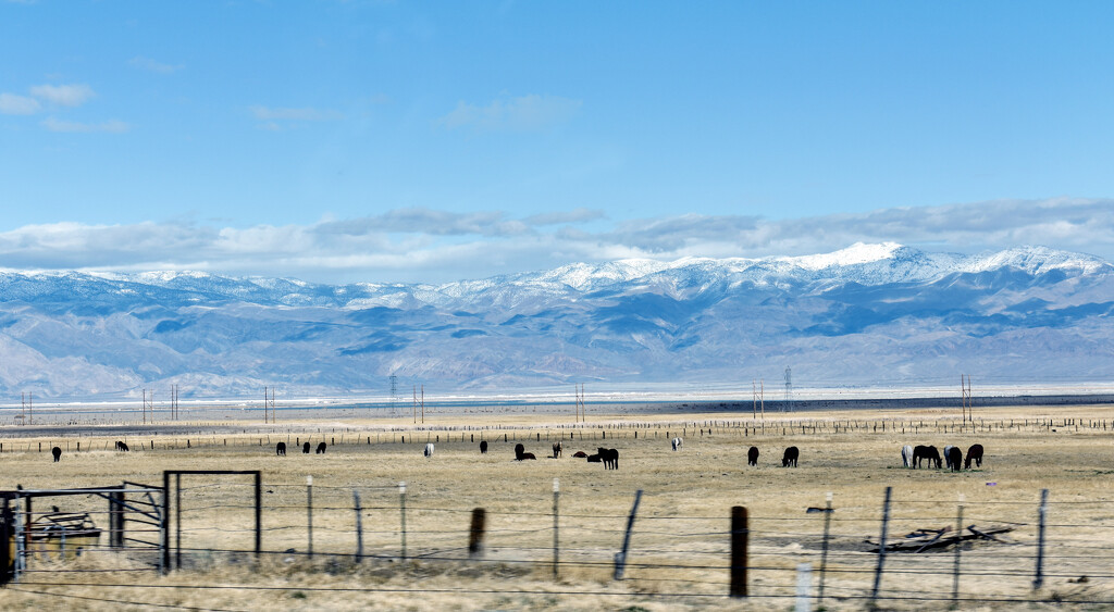 US Highway 395 by 365projectorgchristine