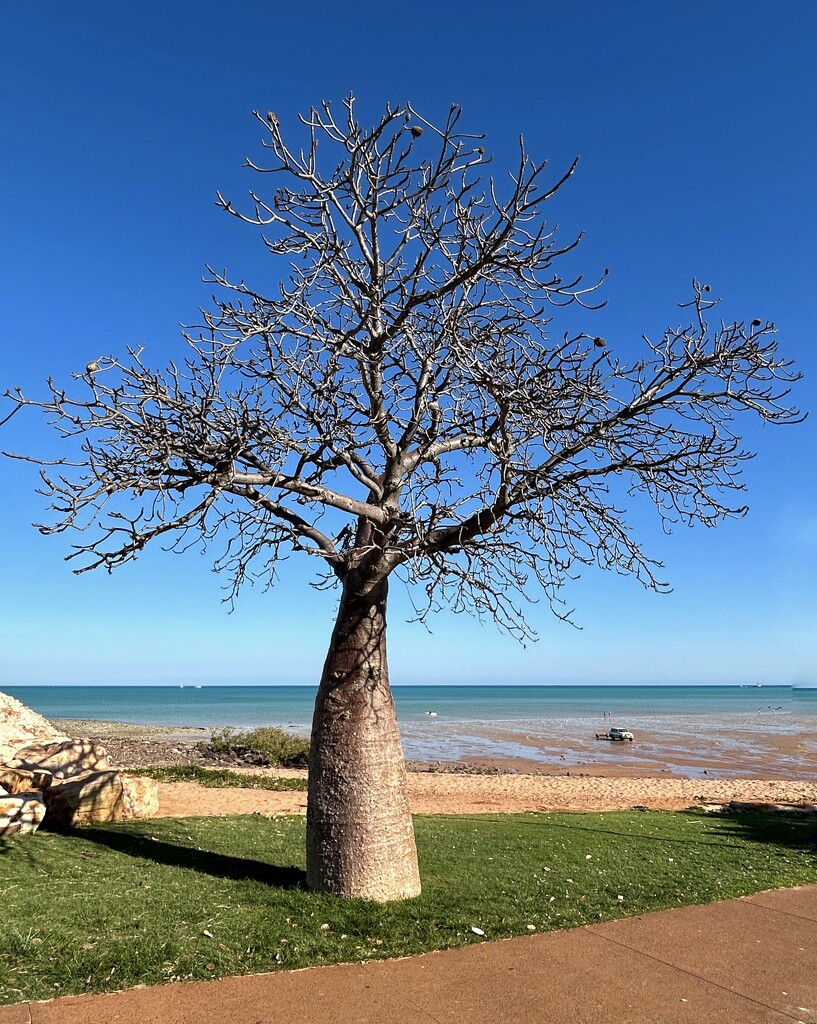 The Colours Of Broome by merrelyn