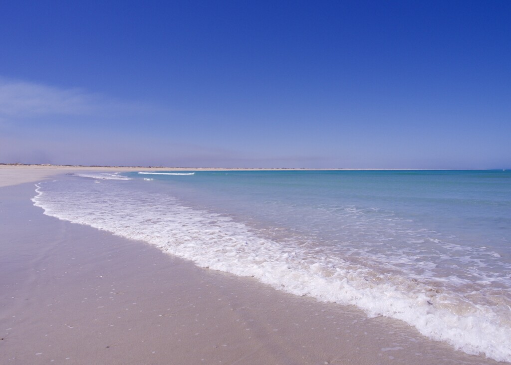 The Beach At Barred Creek P8293392 by merrelyn