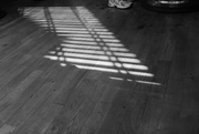 30th Aug 2024 - Shadows