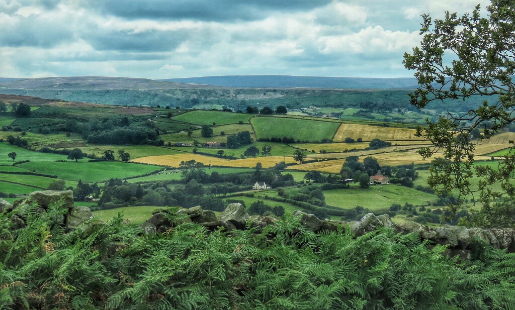 Danby Dale by craftymeg