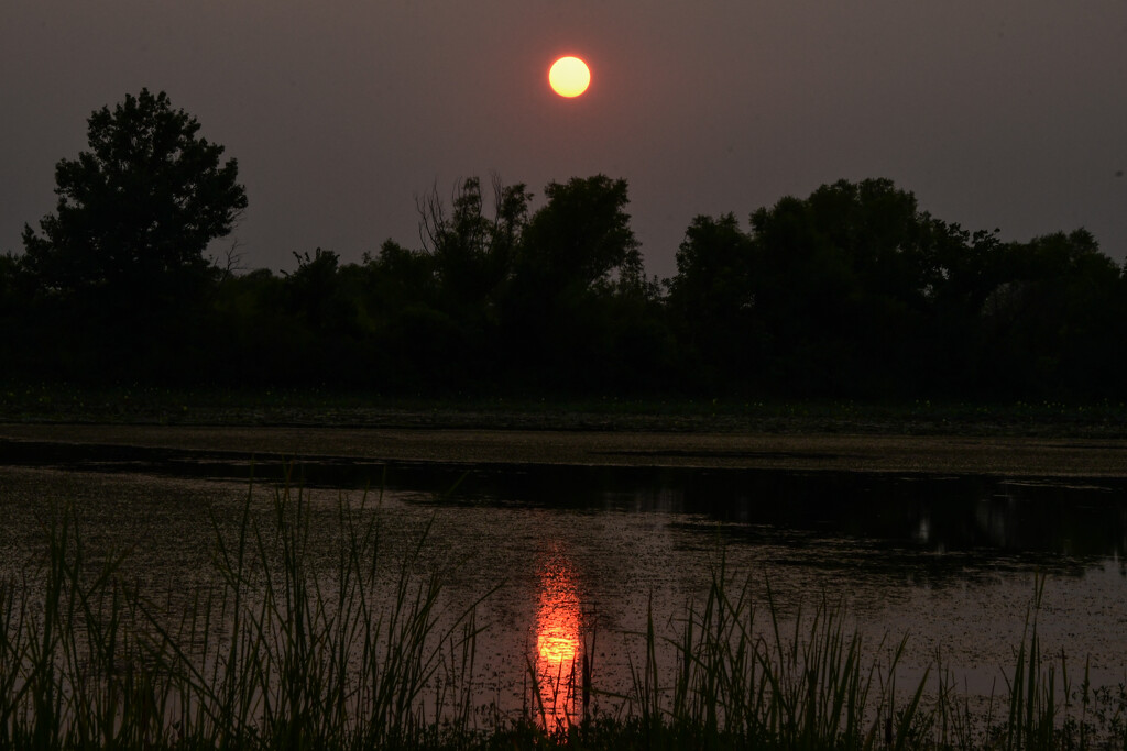 Strong Reflection by kareenking