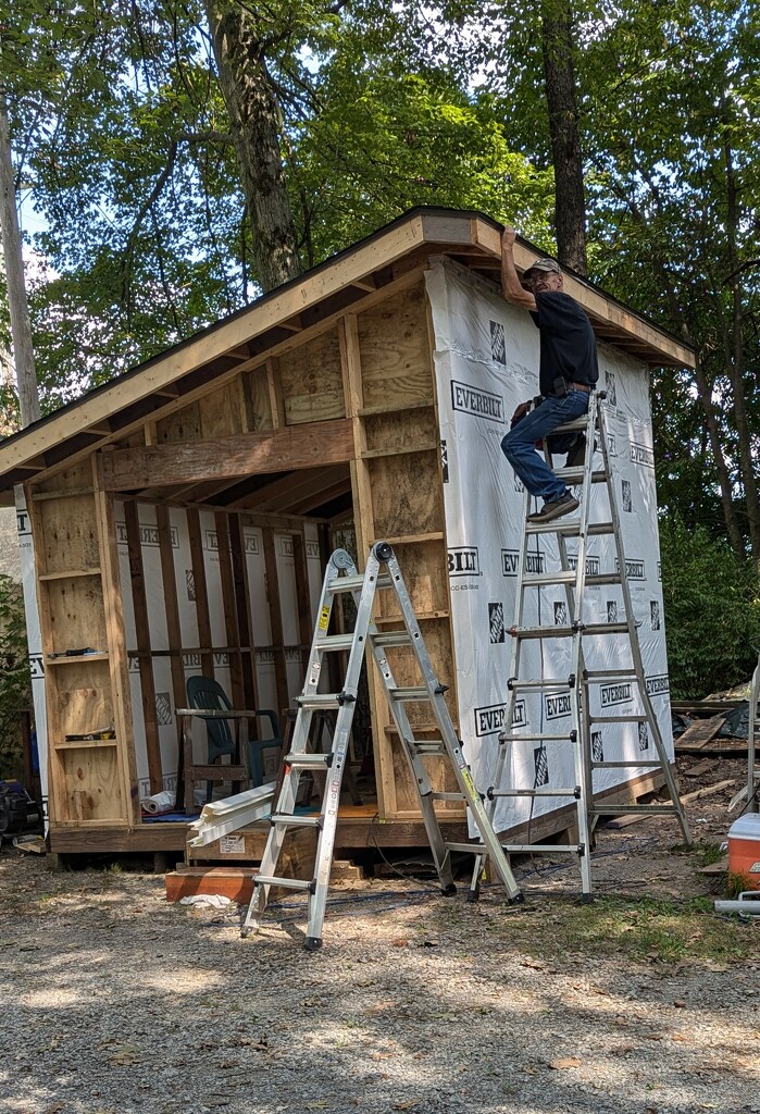 Progress on the Shed by julie