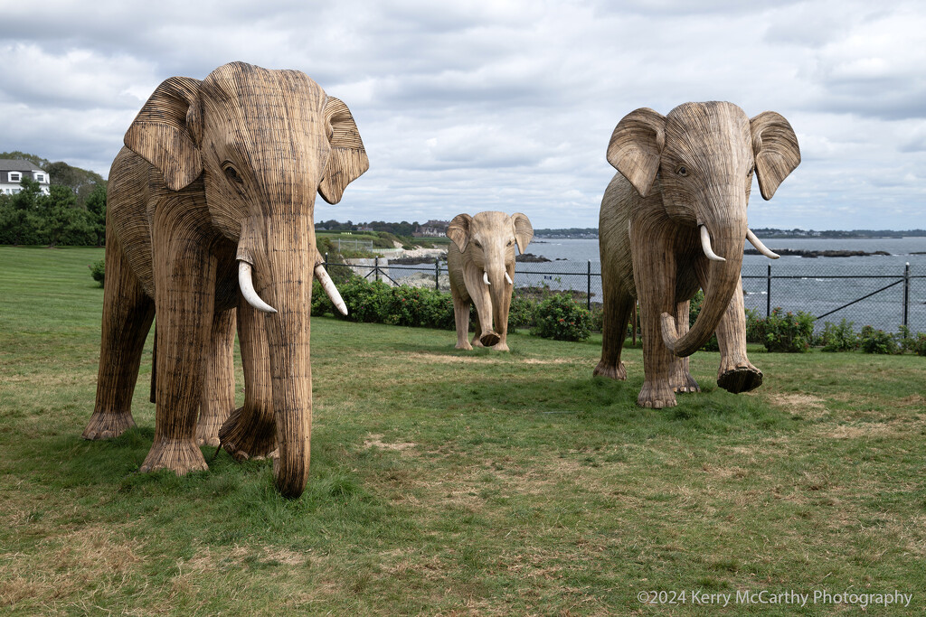 The Great Elephant Migration by mccarth1