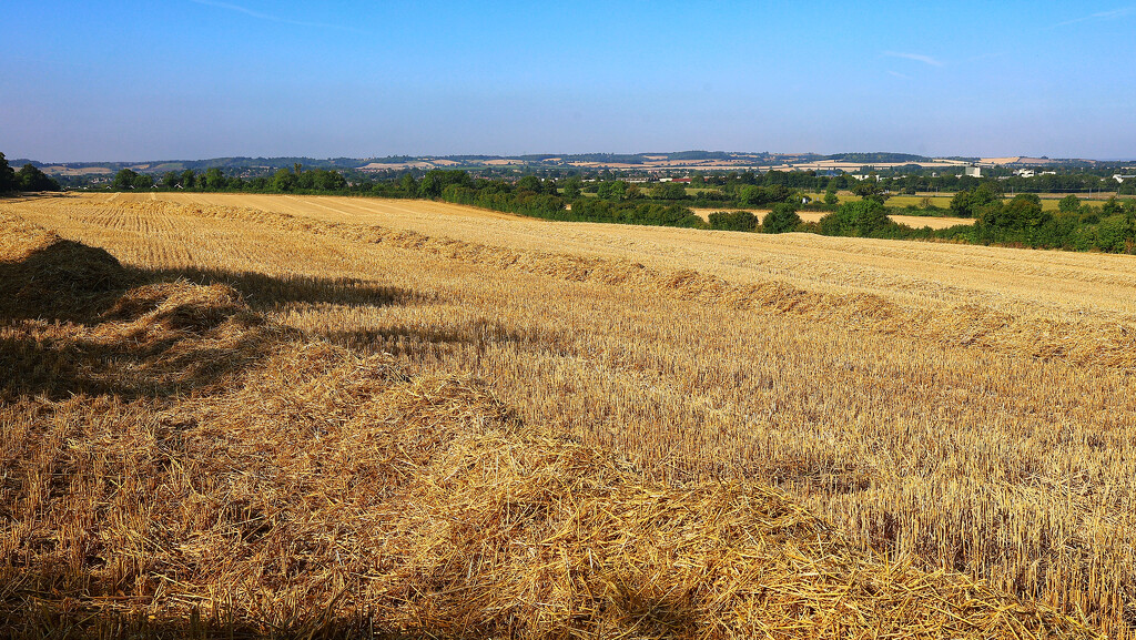 Straw waiting for the bailer by neil_ge