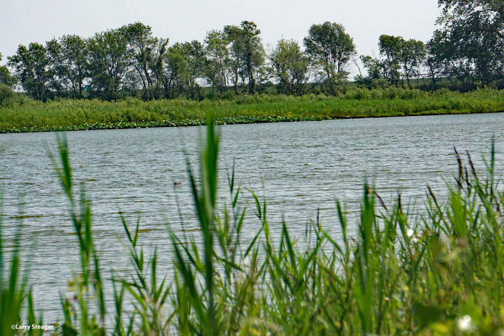 Campground lake by larrysphotos