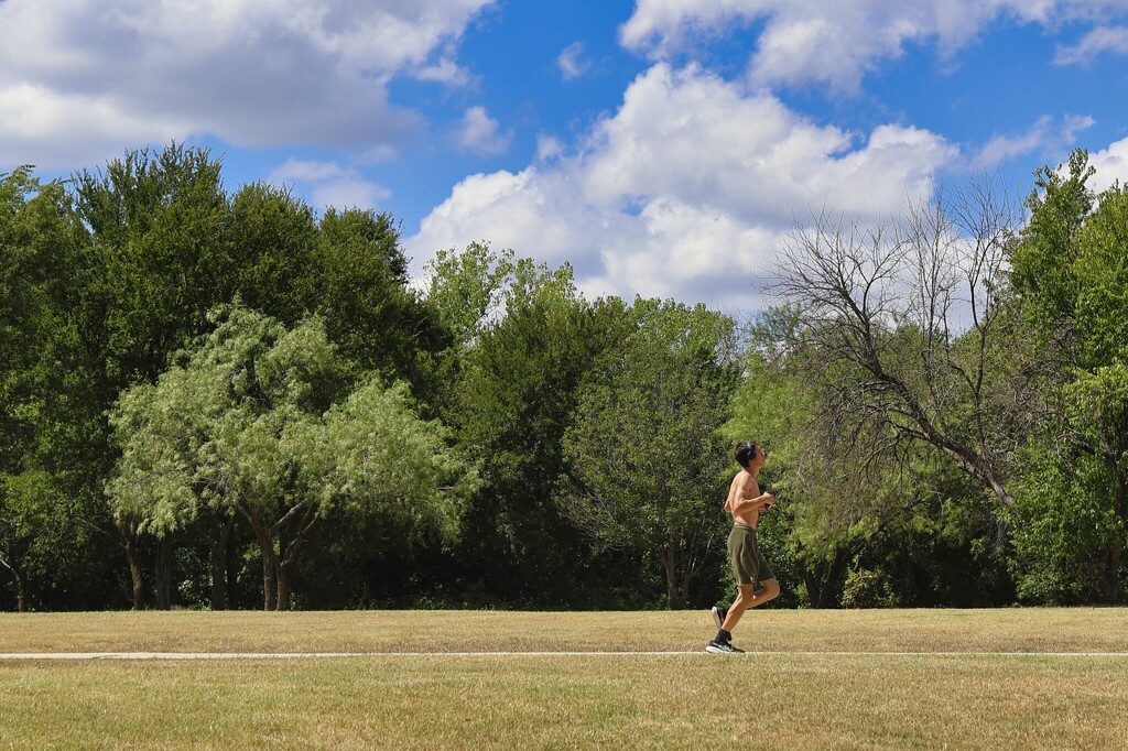 Runner by judyc57