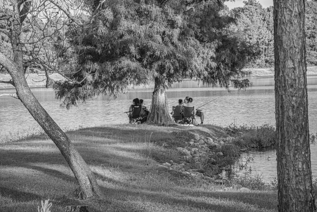 An afternoon at the lake... by thewatersphotos