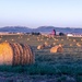 Azure, Alberta by farmreporter