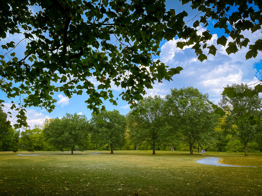 Our local parks are an amazing resource  by ggshearron