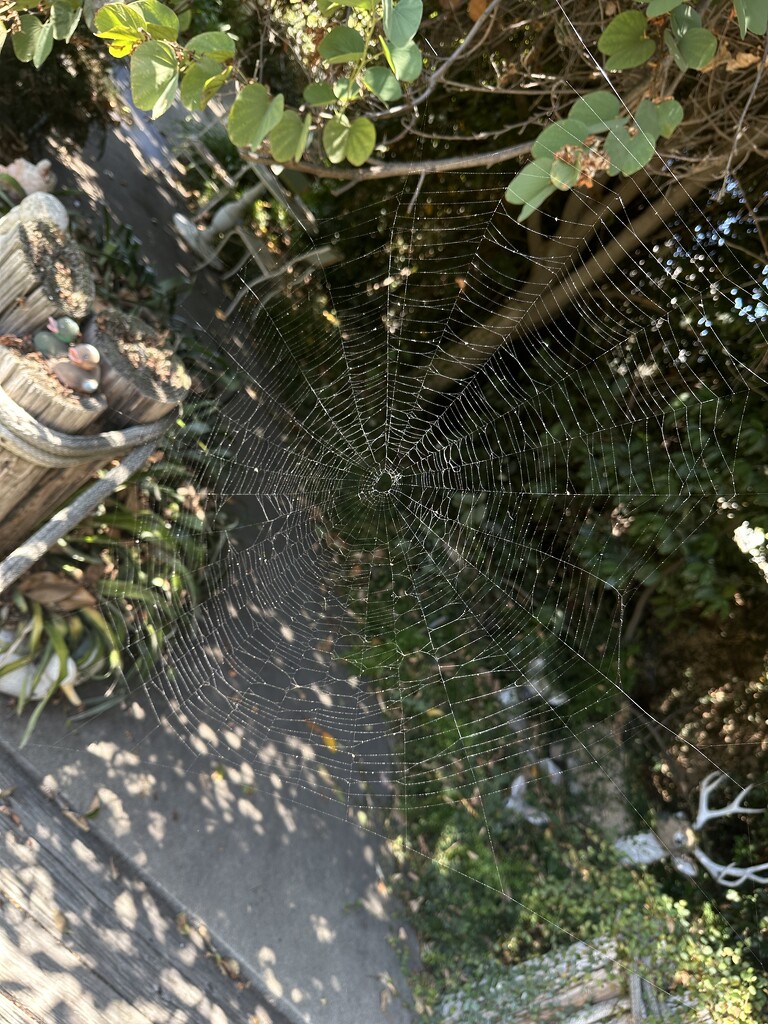 Impressive Web by tinker_maniac