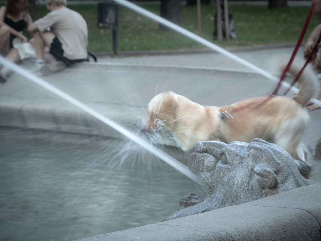 Thirsty by haskar