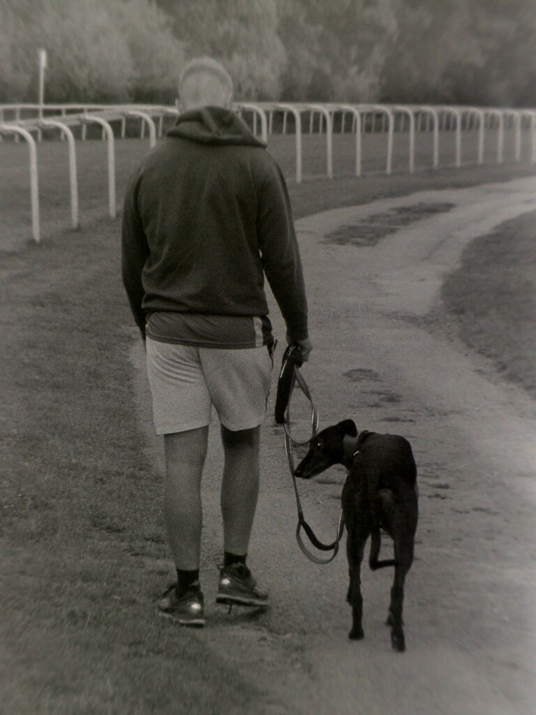 One man and his dog by louday