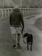 31st Aug 2024 - One man and his dog