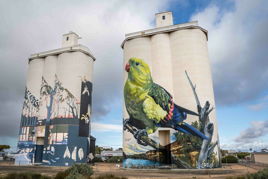 Painted silos at Waikerie by pusspup