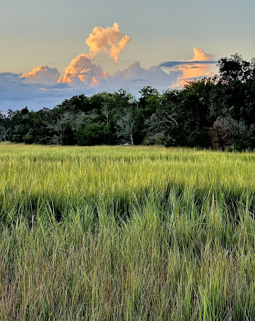 Marsh sunset by congaree