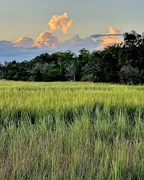 31st Aug 2024 - Marsh sunset