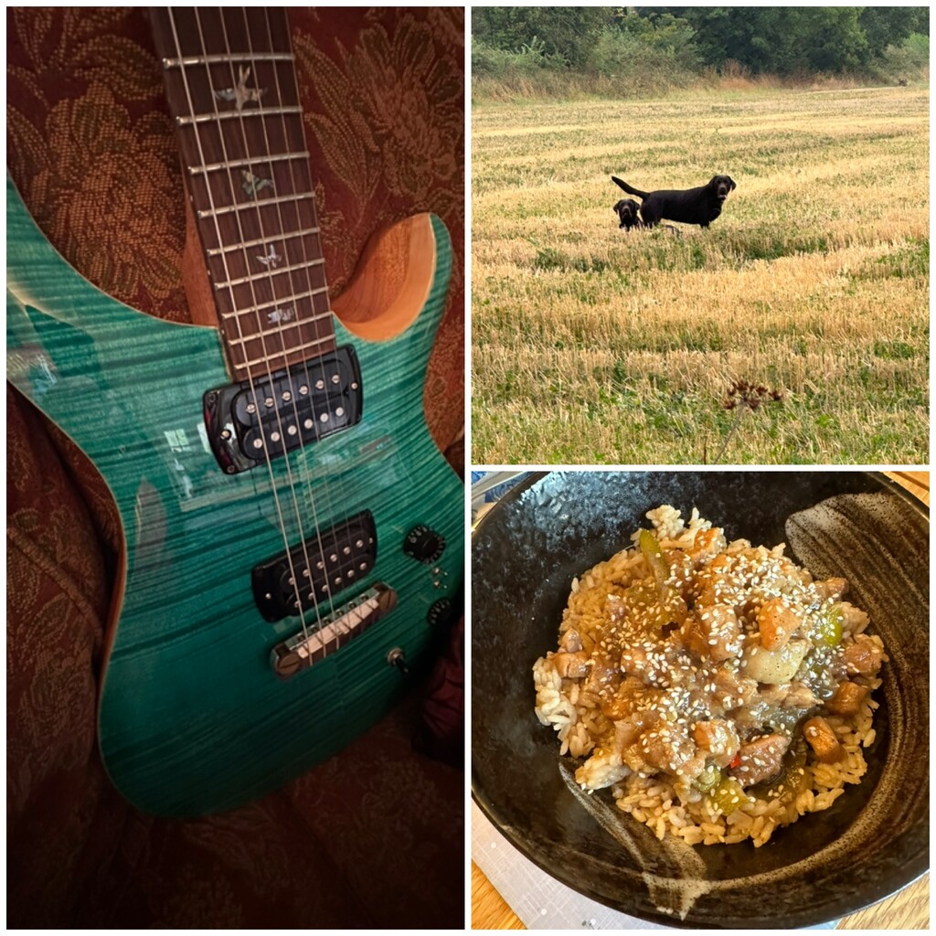 Rainy Guitar & Paddy Field Pork Day by wincho84