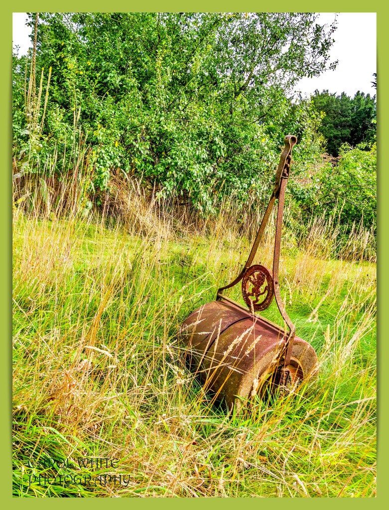 An Old Garden Roller by carolmw