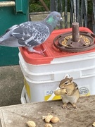 31st Aug 2024 - Eat Outside Day