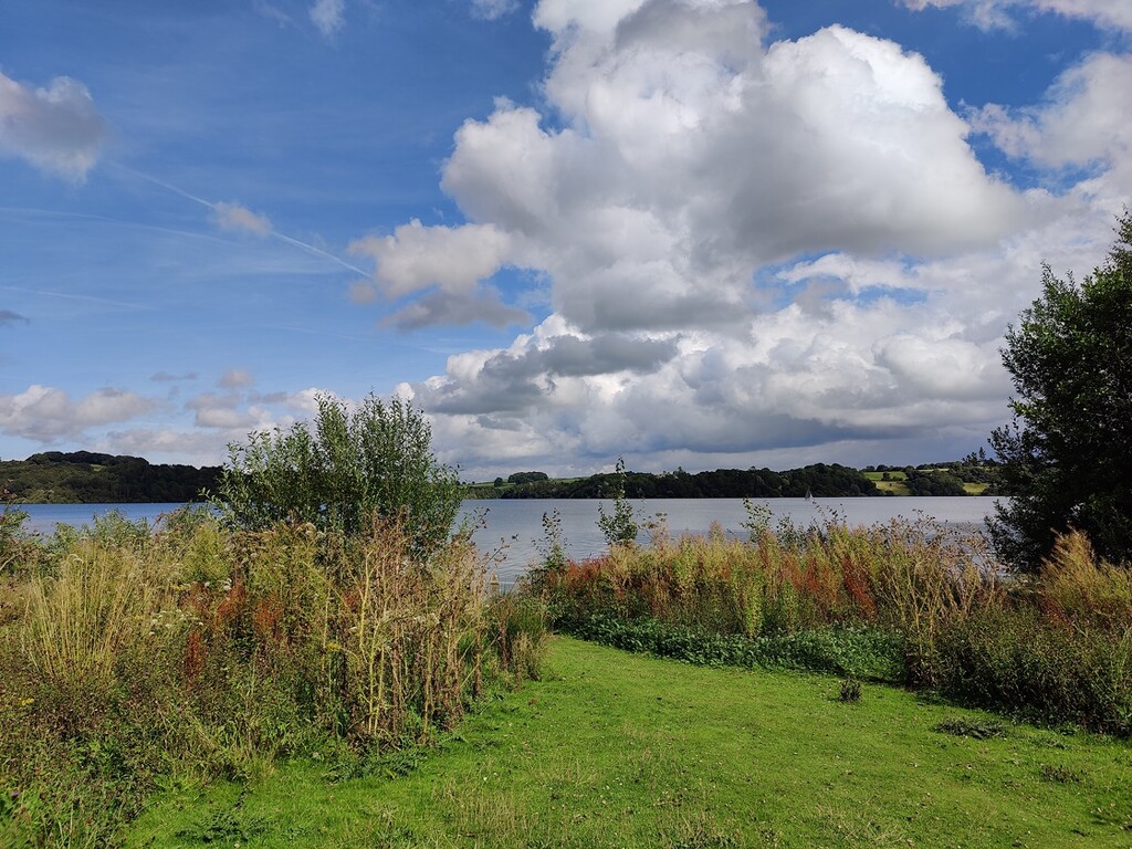 Carsington Water by roachling