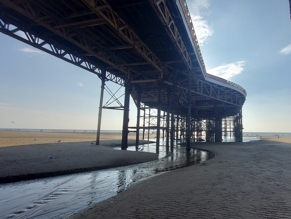 Central Pier, Blackpool  by antmcg69