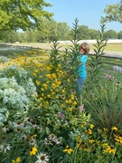 31st Aug 2024 - Sheila in one of the master gardener's public gardens