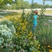 Sheila in one of the master gardener's public gardens