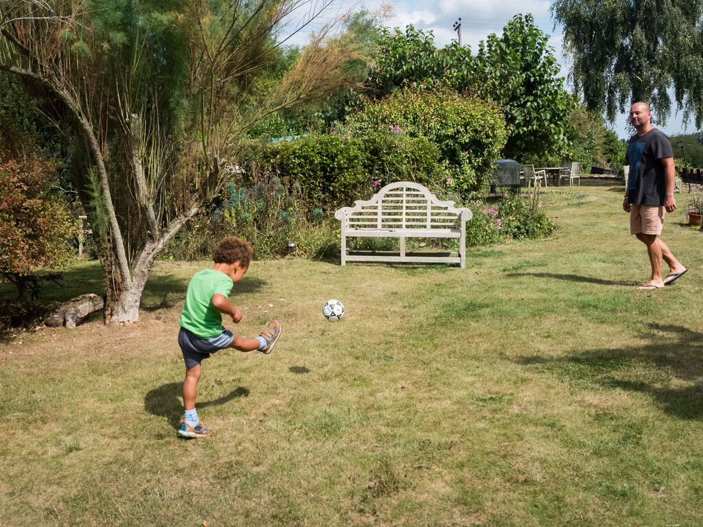 30 - Showing Early Skills by marshwader