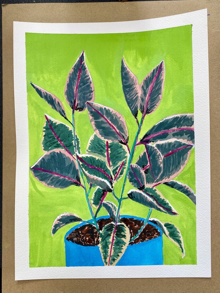 Ruby Ficus, gouache on watercolor paper by mtb24