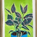 Ruby Ficus, gouache on watercolor paper