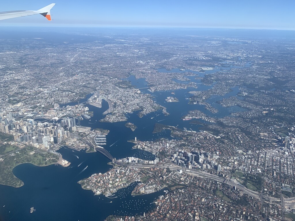 Hello Sydney harbour by koalagardens