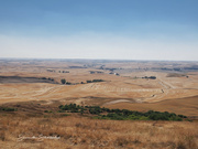 31st Aug 2024 - Wheat harvest