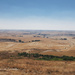 Wheat harvest