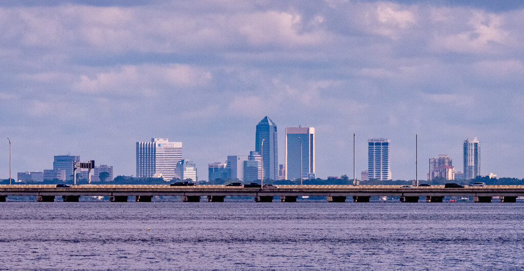 Jacksonville Skyline! by rickster549