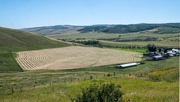 24th Aug 2024 - Backroads of Alberta Again