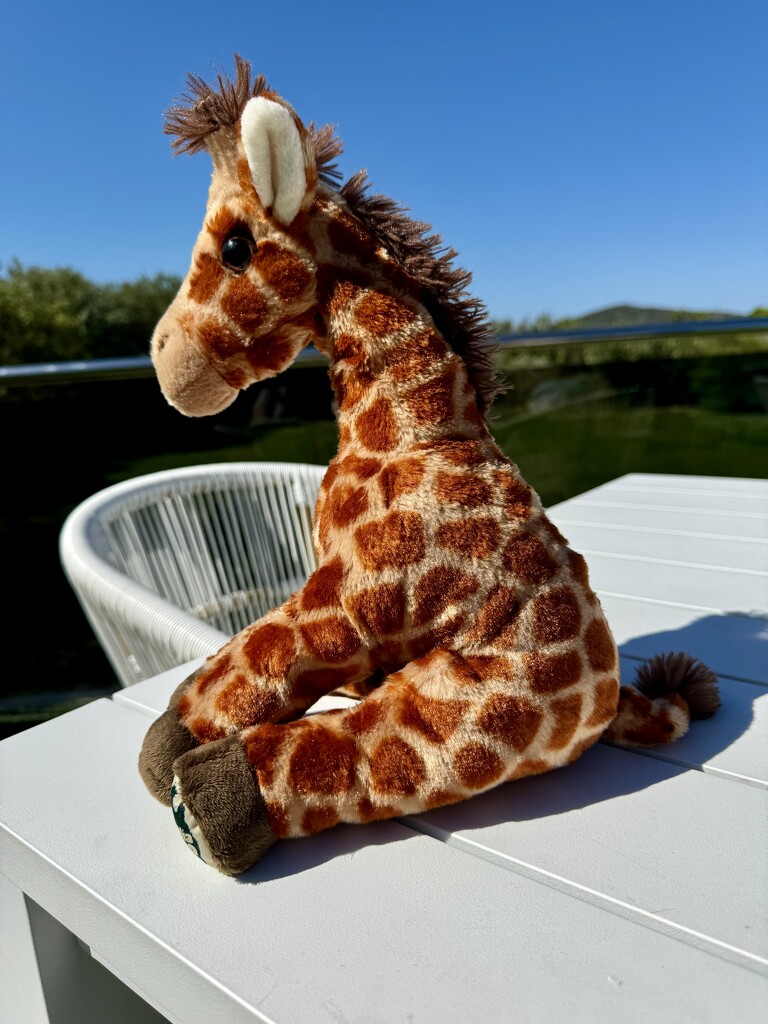 Gemma Giraffe by jools