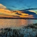 Marsh sunset