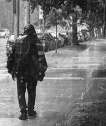 27th Aug 2024 - Walking in the rain 