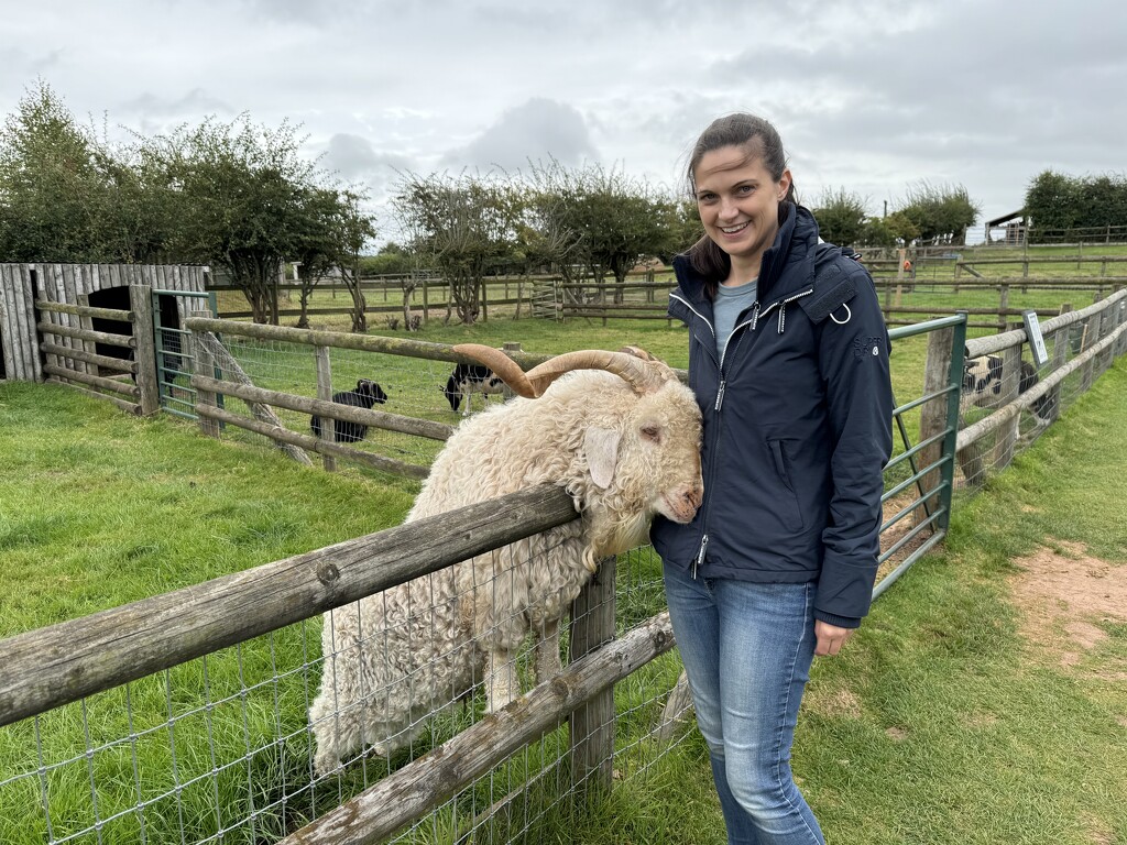 A Cuddly Billy Goat by susiemc