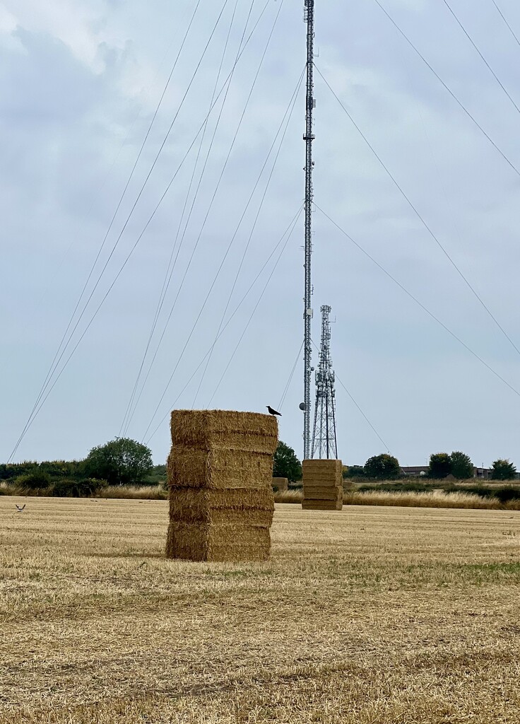 Giant Haystacks  by tinley23