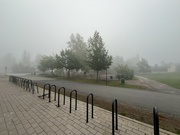 29th Aug 2024 - Surreal fog