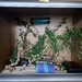 Day 226/366. Dexter's fabulous vivarium