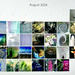 Abstract Calendar August 2024 