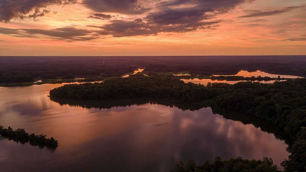 Day 24: Shades of Orange by kvphoto