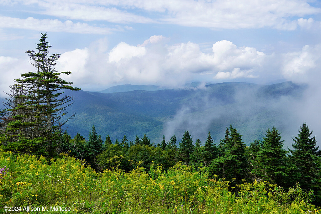 Mt. Equinox Summit View by falcon11