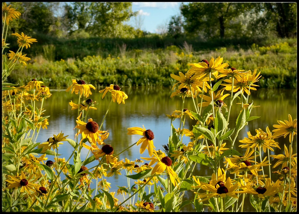 Natures Beauty on My Walk by eahopp