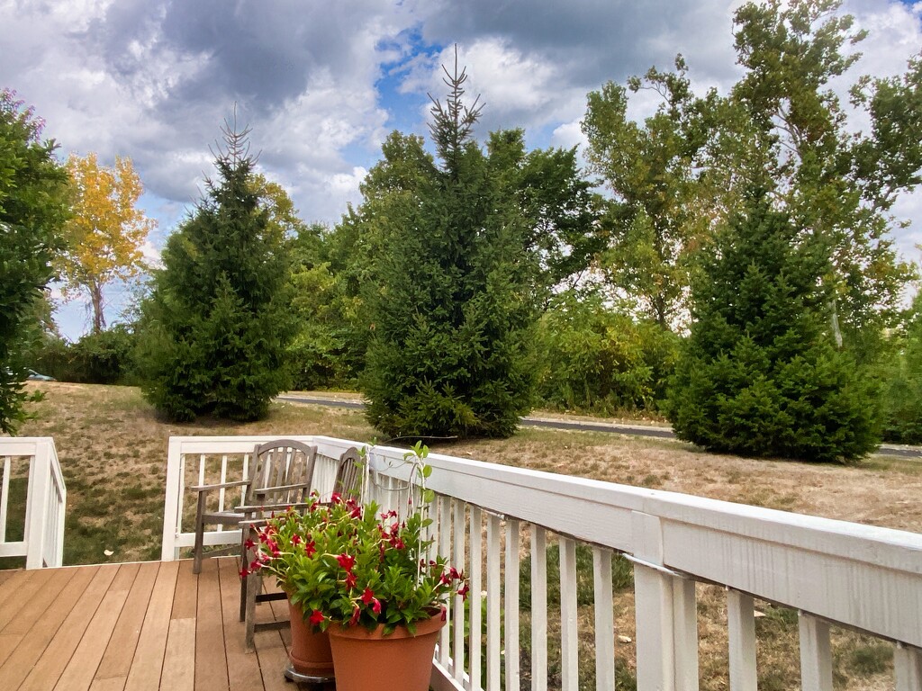 Signs of fall from our deck by ggshearron