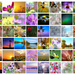 Screenshot of My Recent Top 20 Photos by lynnz